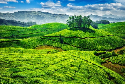Munnar