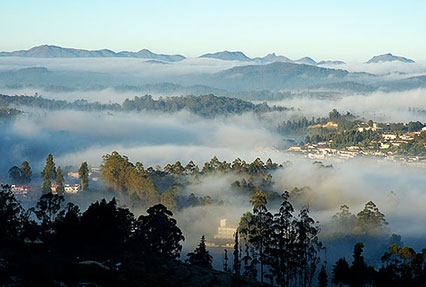 Discover Ooty - Mysore - Coorg